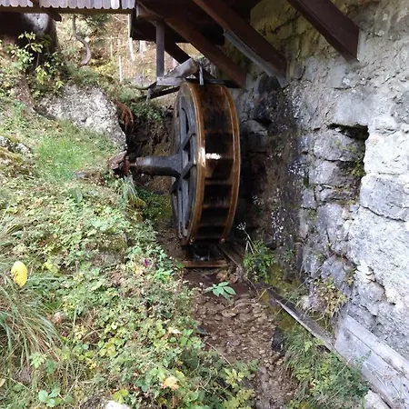 Bilobrk * Kranjska Gora