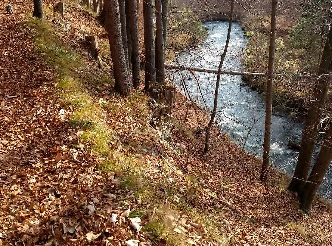 Bilobrk Апартаменты